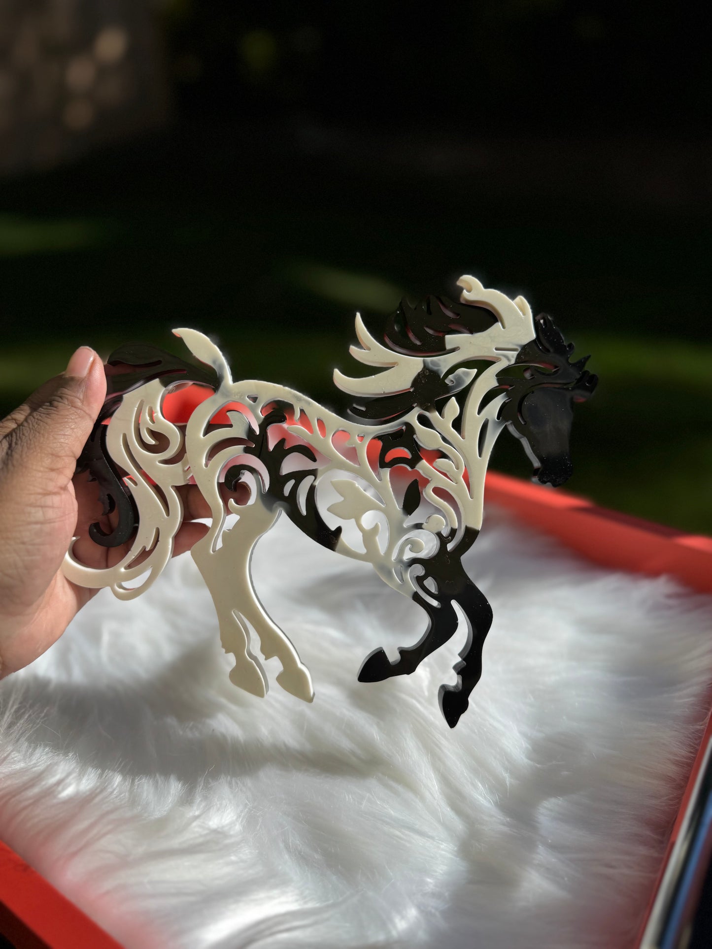 Black and White Horse