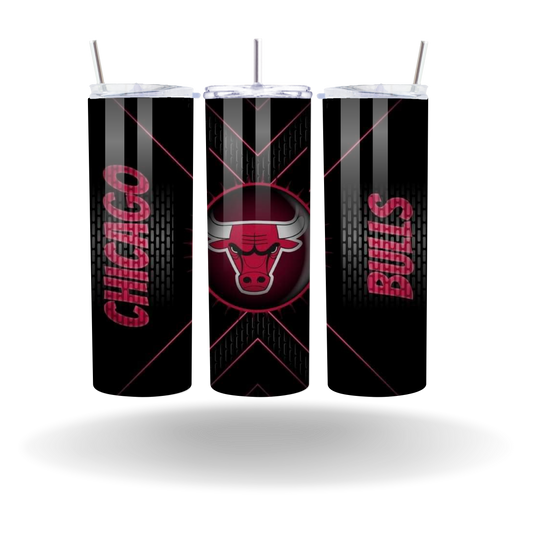 Chicago Basketball 1